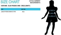 Rubie's Official Disney Frozen 2, Elsa Wig, Childs Fancy Dress Accessory, One Size -Rubie's Shop 3108EvYEFuL