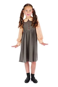 Bristol Novelty Victorian Schoolgirl Costume -Rubie's Shop 319QIit0mWL 1
