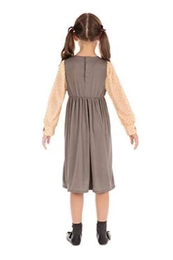 Bristol Novelty Victorian Schoolgirl Costume -Rubie's Shop 31G6evE6P2L