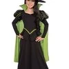 Rubie's Official The Wizard Of Oz The Wicked Witch Of The West Childs Costume, Kids Fancy Dress -Rubie's Shop 31HLGFX9MnL 1