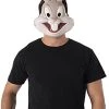Rubie's Unisex Warner Bros. Space Jam Bugs Bunny Plastic Half-Mask, One Size