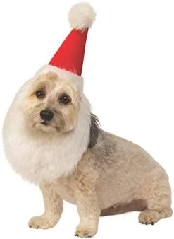 Rubie's Christmas Pet Costume, Medium To Large, Elf Hat With Bell -Rubie's Shop 31mnAT9MtAL. AC