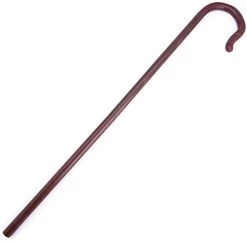 Bristol Novelty BA1604 Child’s Walking Cane | Brown Accessory, One Size -Rubie's Shop 31pvbrsWPL. AC