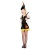 Bristol Novelty TC102 Costume | Forest Hunting Girl | Multicolor | Pack Of 1 | Teen Size, Small -Rubie's Shop 410dLlggFkL