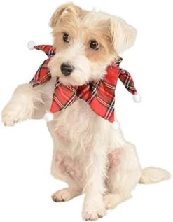 Rubie's Christmas Pet Costume, Medium To Large, Elf Hat With Bell -Rubie's Shop 415t7VRIHYL. AC