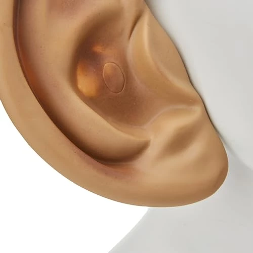 Bristol Novelty MD217 Big Ears On Headband | Flesh | Pack Of 1, Unisex-adult, Beige, One Size 4 Bristol Novelty MD217 Big Ears On Headband | Flesh | Pack Of 1, Unisex-adult, Beige, One Size - Image 2