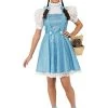 Rubie's Official The Wizard Of Oz Dorothy Ladies Fancy Dress Costume -Rubie's Shop 41H51WNEH4L 3