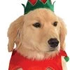 Rubie's Christmas Pet Costume, Medium To Large, Elf Hat With Bell -Rubie's Shop 41H56Q2ML