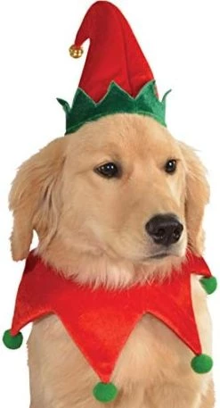Rubie's Christmas Pet Costume, Medium To Large, Elf Hat With Bell -Rubie's Shop 41H56Q2ML. AC