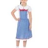 Bristol Novelty Land Girl Costume -Rubie's Shop 41Hjv02zonL