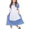Bristol Novelty Land Girl Costume -Rubie's Shop 41M5Jd21 5L