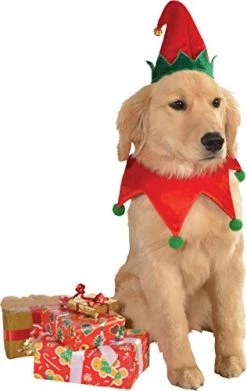 Rubie's Christmas Pet Costume, Medium To Large, Elf Hat With Bell -Rubie's Shop 41OHiJ5wmsL