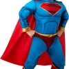 Rubie's Official DC League Of Super-Pets Superman Toddler Costume, Kids Fancy Dress, Age 3-4 Years 1 Rubie's Official DC League Of Super-Pets Superman Toddler Costume, Kids Fancy Dress, Age 3-4 Years -Rubie's Shop 41PoZ26UoiL