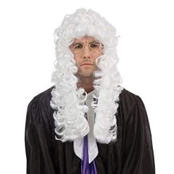 Bristol Novelty Men's Judge Wig | For Men White Accessory, White, One Size UK