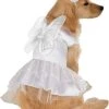 Rubie's Angel Pet Costume, Small -Rubie's Shop 41UMgAGzebL