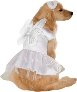 Rubie's Angel Pet Costume, Small