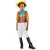 Rubie's Official Boat Rocker Dino Ranch Min Girls Deluxe Costume, Kids Fancy Dress -Rubie's Shop 41YS2cOnXzL 1