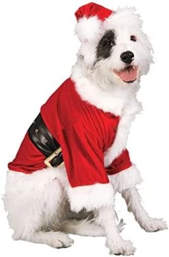 Official Rubie's Santa Claus Dog Costume, Christmas Pet Dress Up, Size Small -Rubie's Shop 41ZOtSnX5KL. AC 2