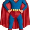 Rubie's Official DC Comics Superman Deluxe Costume, Adult Superhero Fancy Dress -Rubie's Shop 41lNetynrL 2