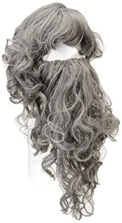 Bristol Novelty BW573 Wizard Grey Wig | For Adult Accessory, One Size