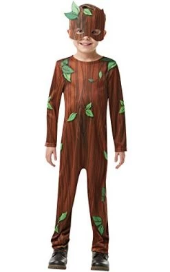 Rubie's Official Twig Boy, Child Costume, Book Day Character