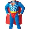 Rubie's Official DC Comics Superman Metallic Chest Costume, Childs Fancy Dress Super Hero -Rubie's Shop 41v NnjHxtL 1