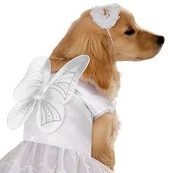 Rubie's Angel Pet Costume, Small -Rubie's Shop 514eoSMF0RL