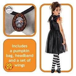 Rubie's Official Amelia Fang Accessory Set, Halloween Kids Fancy Dress, One Size -Rubie's Shop 51NBpnHYrL