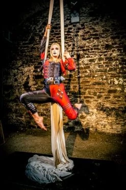 Rubie's Official Harley Quinn Ladies Jumpsuit Halloween Suicide Squad 2 Womens Villain Costume 13 Rubie's Official Harley Quinn Ladies Jumpsuit Halloween Suicide Squad 2 Womens Villain Costume -Rubie's Shop 51adyGFeAeL