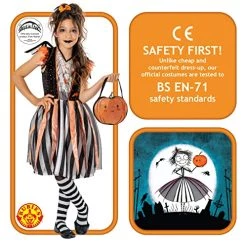 Rubie's Official Amelia Fang Accessory Set, Halloween Kids Fancy Dress, One Size -Rubie's Shop 51osyyBVqL